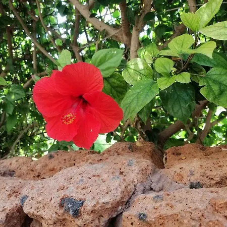 La Casa Paradise Grande Terrasse Cl *